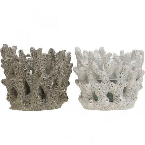 Floristik24 Lucerna se sklem v korálovém designu námořní dekorace bílá umělá Ø9,5cm 2ks