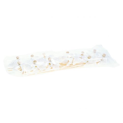 Floristik24 Větrný mlýn Mini White Ø9cm 12ks