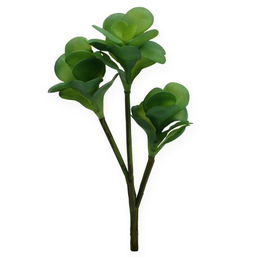Umělé rostliny pouštní zelí zelené 25cm 3ks