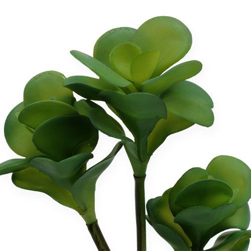 Floristik24 Umělé rostliny pouštní zelí zelené 25cm 3ks