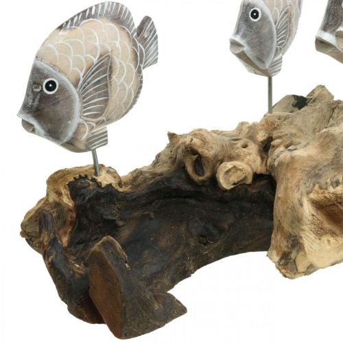 položky Dekorativní ryby na kořenovém dřevě Námořní dekorativní figurky Hnědá 38cm