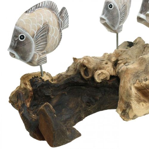 Floristik24 Dekorativní ryby na kořenovém dřevě Námořní dekorativní figurky Hnědá 38cm