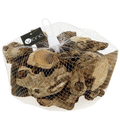 Floristik24 Kořenové kousky přírodní 500g