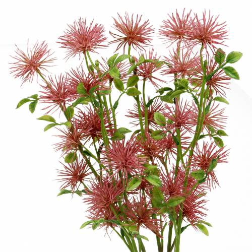 Floristik24 Xanthium hedvábný květ tmavě růžový 53cm 6ks