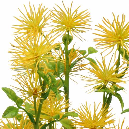 Floristik24 Xanthium hedvábný květ žlutý 53cm 6ks