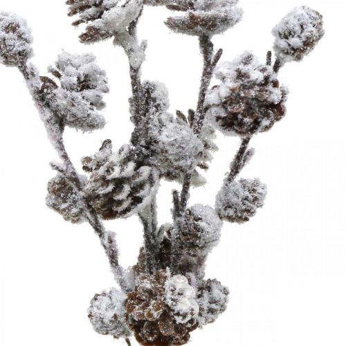 Vánoční větve kuželová větev Snowed 30cm 5ks ve svazku