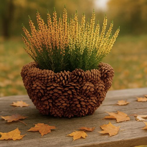 položky Rostlinný koš z šišek, přírodní, borové šišky Ø33cm V17cm