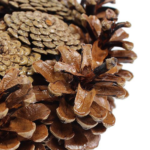 Floristik24 Kuželový věnec malovaný Ø25cm