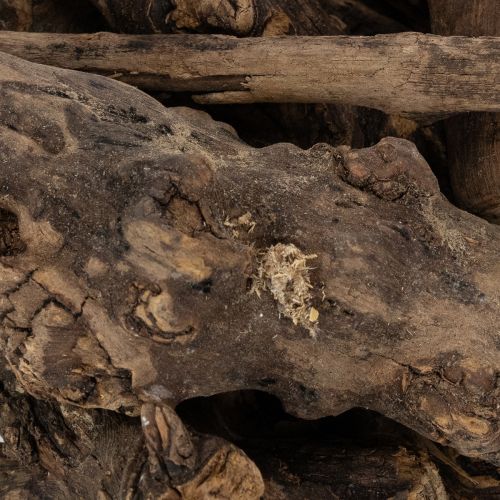 položky Okouzlující dekorativní dřevěné kořeny pro váš domov