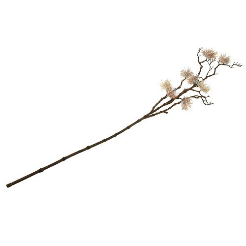 Floristik24 Vilínová ratolest šampaňské 112cm
