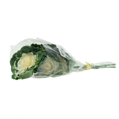 Floristik24 Umělé zelí bílé, zelené 25cm 6ks