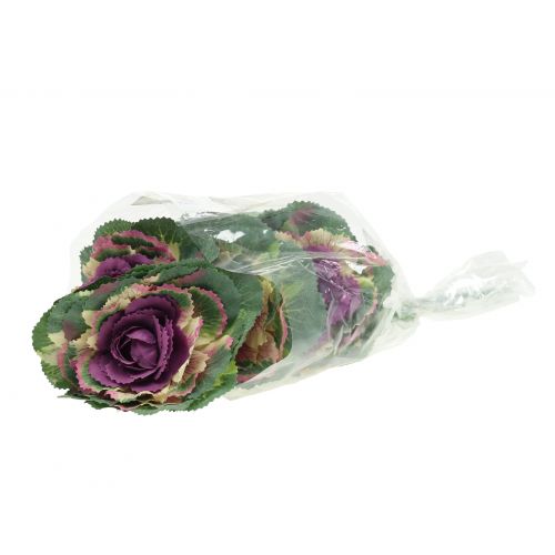 Floristik24 Umělé zelí fialové, zelené 25cm 6ks