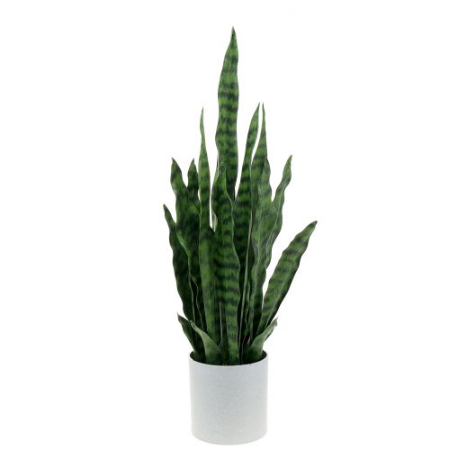 Floristik24 Sansevieria umělá v květináči H62cm