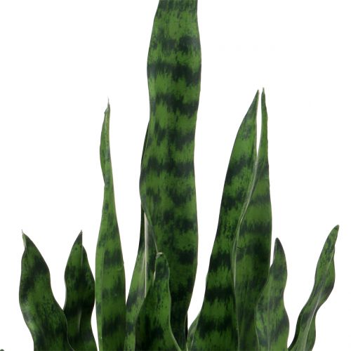 Floristik24 Sansevieria umělá v květináči H90cm