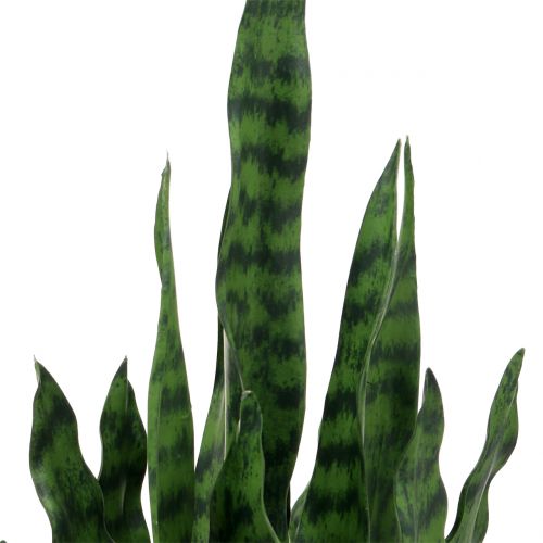 položky Sansevieria umělá v květináči H62cm