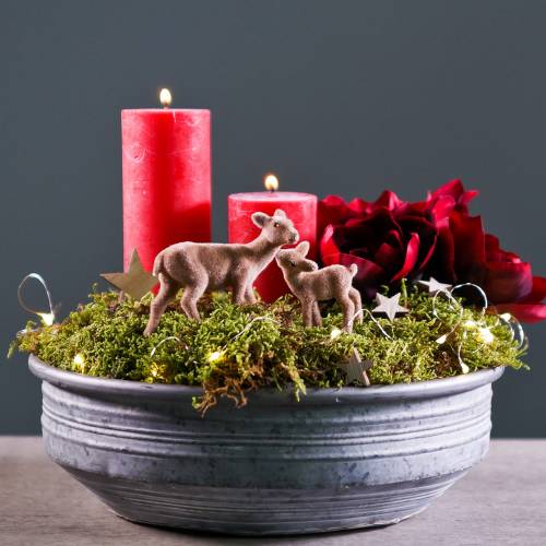Floristik24 Zinková miska Ø31,5cm H10cm