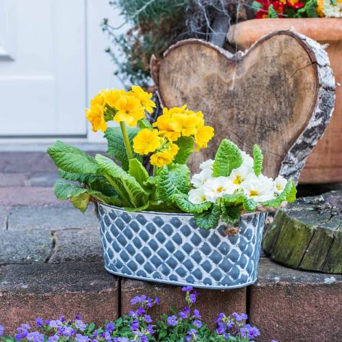 Floristik24 Zinková mísa diamantová s oválnými držadly 32cm H15cm