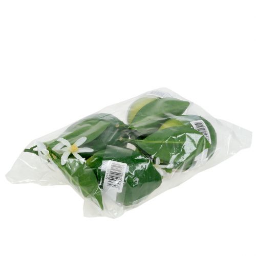 Floristik24 Citrony s květem 9,5cm zelené 4ks