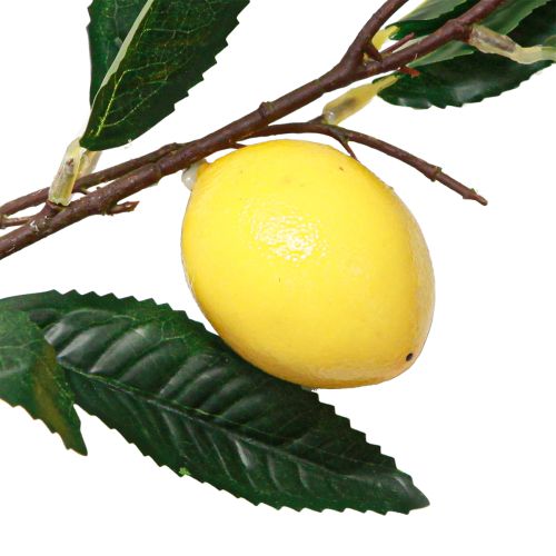 položky Umělá citronová ratolest umělá citronová ratolest 91cm 2ks