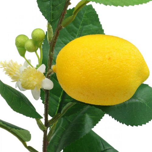Floristik24 Deco větev citron umělá citronová větev 42cm 3ks