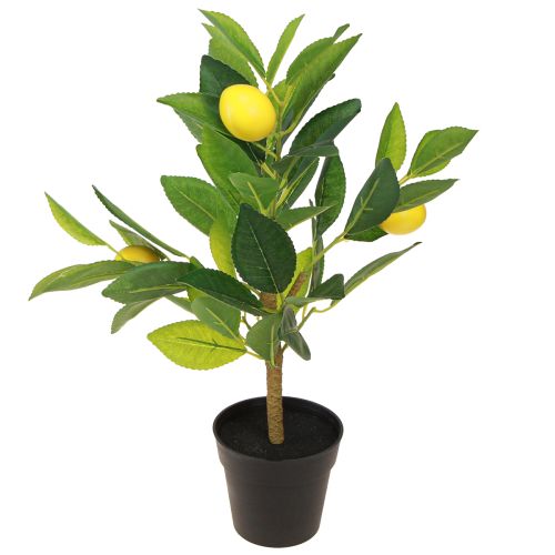 Floristik24 Citronovník umělý citronovník v květináči H40cm
