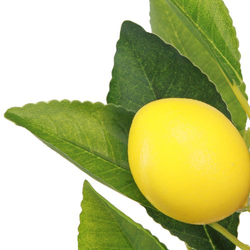 položky Citronovník umělý citronovník v květináči H40cm