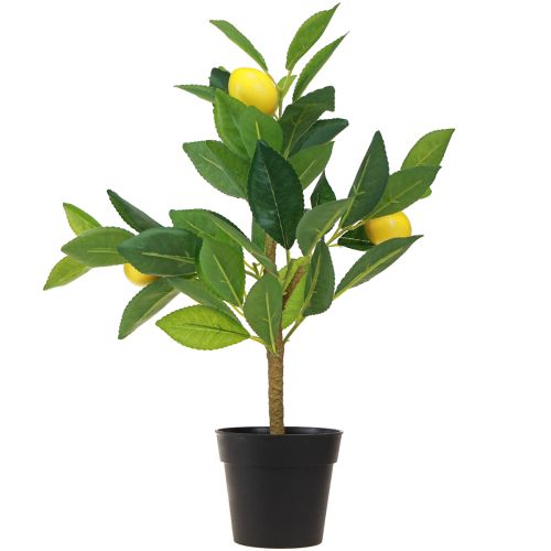 položky Citronovník umělý citronovník v květináči H40cm