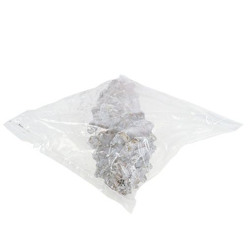 Floristik24 Šišky cukrové, obílené 20cm - 30cm