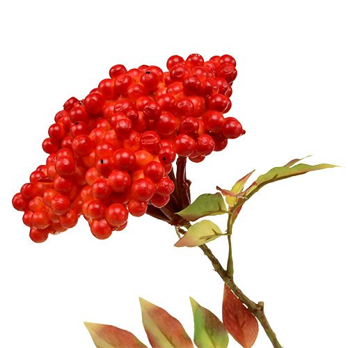 Floristik24 Větev s bobulemi oranžová 53cm