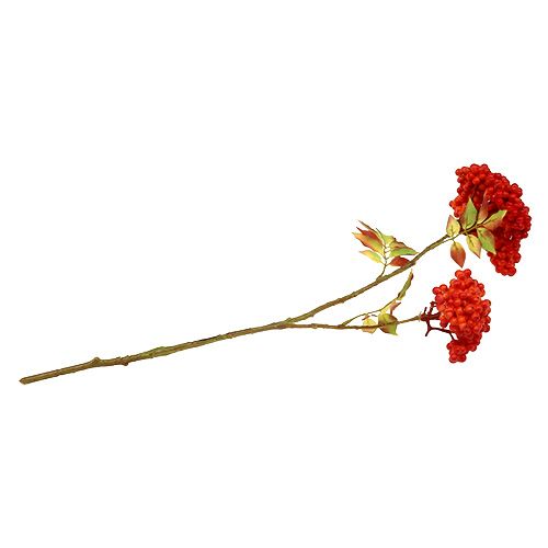 Floristik24 Větev s bobulemi oranžová 53cm