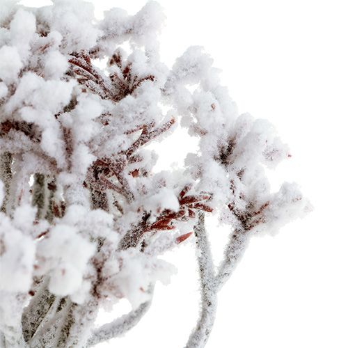 Floristik24 Větev se sněhem 22cm 3ks