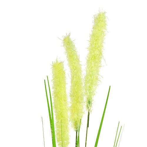 Floristik24 Cibule tráva 68cm zelená 6ks