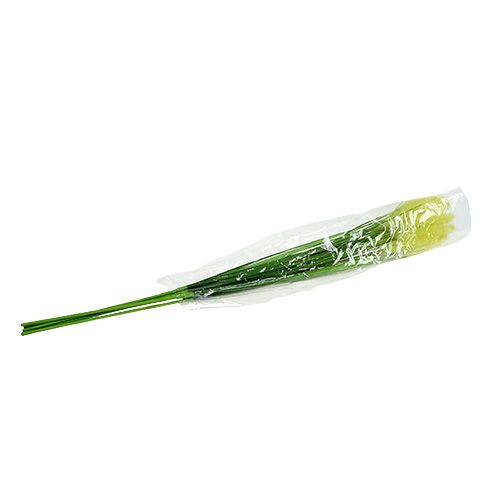 Floristik24 Cibule tráva 68cm zelená 6ks