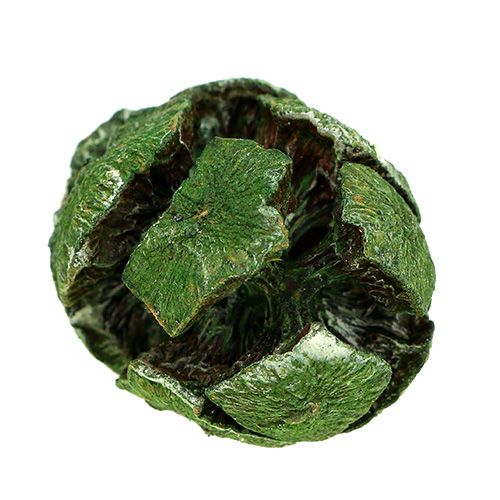Floristik24 Cypřišové šišky 3cm zelené 500g