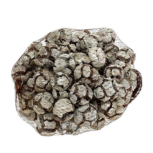 položky Cypřišové šišky 3cm bílé prané 500g