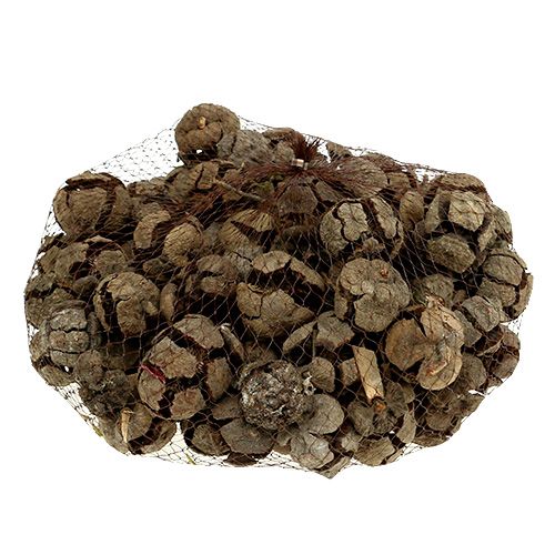 položky Cypřišové šišky přírodní 3cm 500g