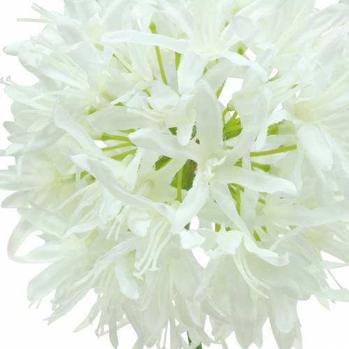 položky Okrasná cibule Allium umělá bílá Ø12cm V62cm