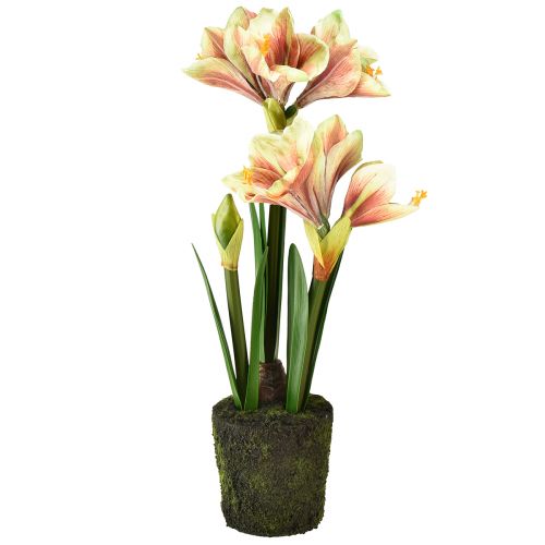 položky Amarylis v mechové kouli umělé s růžovo-žlutými vzorovanými květy - 45 cm - Exotická a stylová dekorace