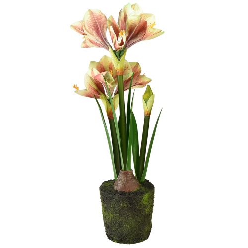 položky Amarylis v mechové kouli umělé s růžovo-žlutými vzorovanými květy - 45 cm - Exotická a stylová dekorace