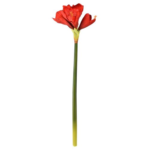 položky Umělá amaryllis v zářivě červené barvě - elegantní květiny pro luxusní dekoraci pokoje, 66 cm