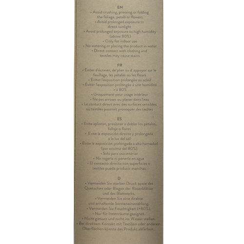 položky Růže nekonečna s konzervovanými listy Amorosa červená L54cm