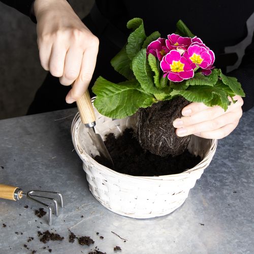 položky Proutěný košík pro všestranný interiérový design, 20 cm, 8 kusů