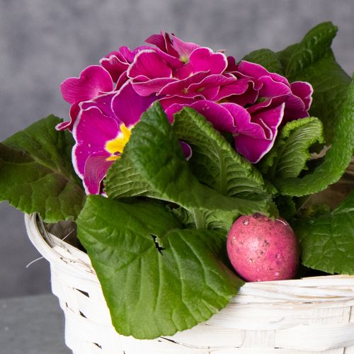 položky Proutěný košík pro všestranný interiérový design, 20 cm, 8 kusů