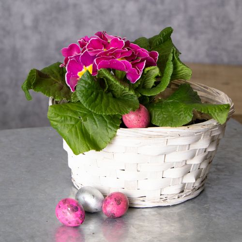 položky Proutěný košík pro všestranný interiérový design, 20 cm, 8 kusů