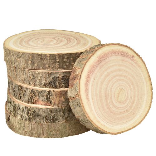 položky Strom Disc Paulownia Bluebell Tree Natural Ø12-14cm 6 ks