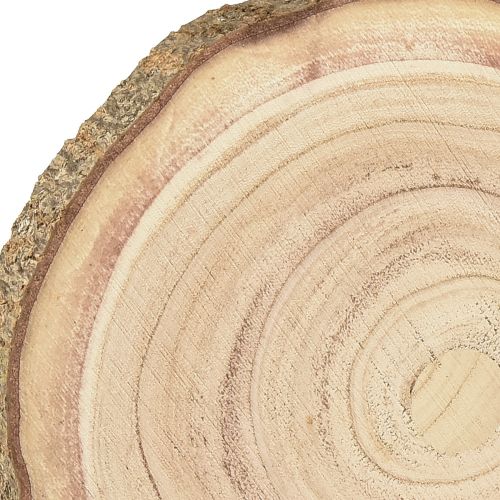 Floristik24 Kotouč na stromeček Paulownia dřevěná dekorace přírodní Ø17-21cm 4 ks