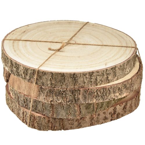 Floristik24 Kotouč na stromeček Paulownia dřevěná dekorace přírodní Ø17-21cm 4 ks