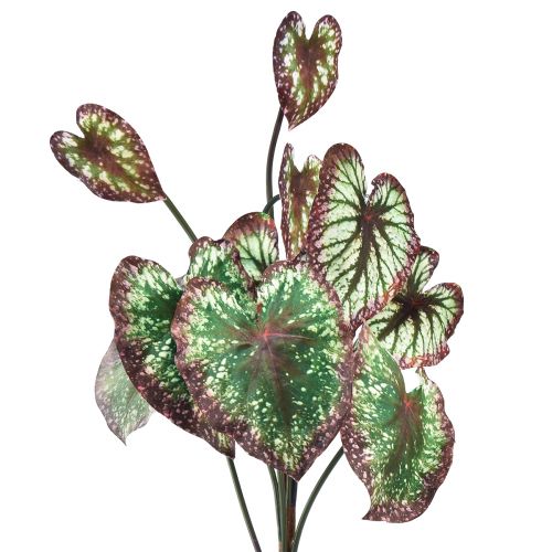 Floristik24 Begonia Umělé rostliny Listové Begonie Zelenofialové 62cm