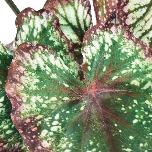 položky Begonia Umělé rostliny Listové Begonie Zelenofialové 62cm