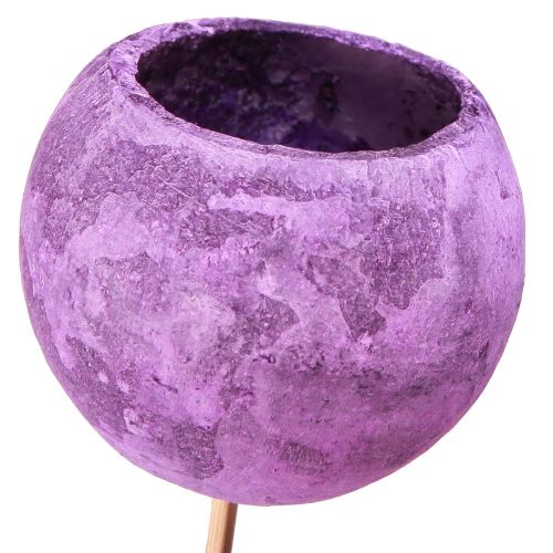 Floristik24 Bell Cup na špejli Exotická suchá dekorace Purple Berry 44cm 15 ks